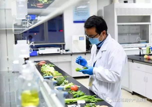 給力！2019全國(guó)農(nóng)業(yè)產(chǎn)業(yè)化龍頭企業(yè)500強(qiáng)發(fā)布，徐州這家企業(yè)憑借檢驗(yàn)檢測(cè)服務(wù)上榜